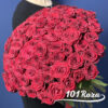купить 101 розу 70 см