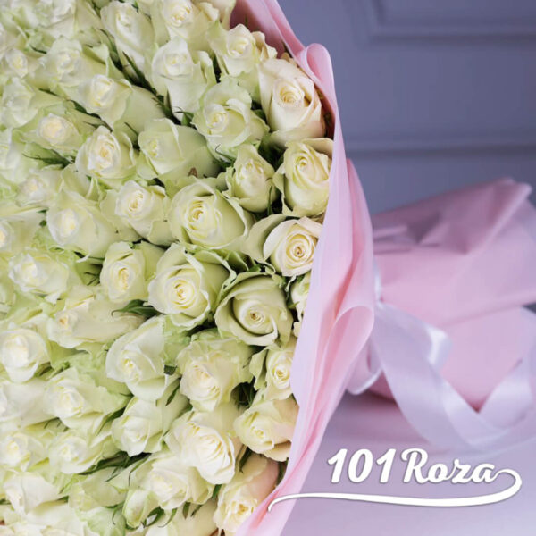 101 белая роза 40