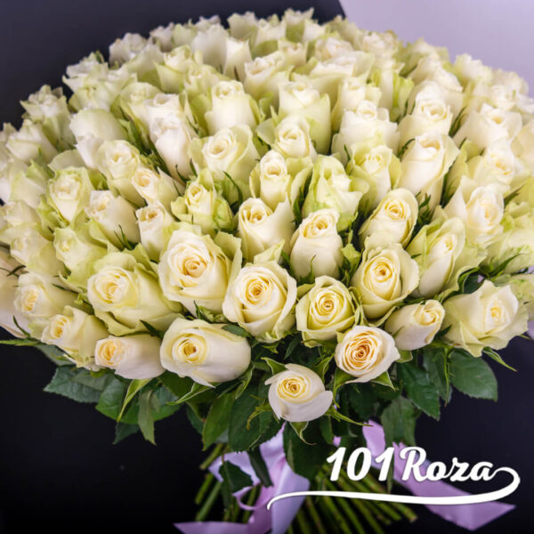 101 белая роза 40 см недорого