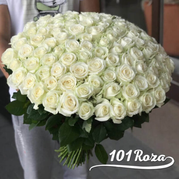 101 белая роза Аваланж
