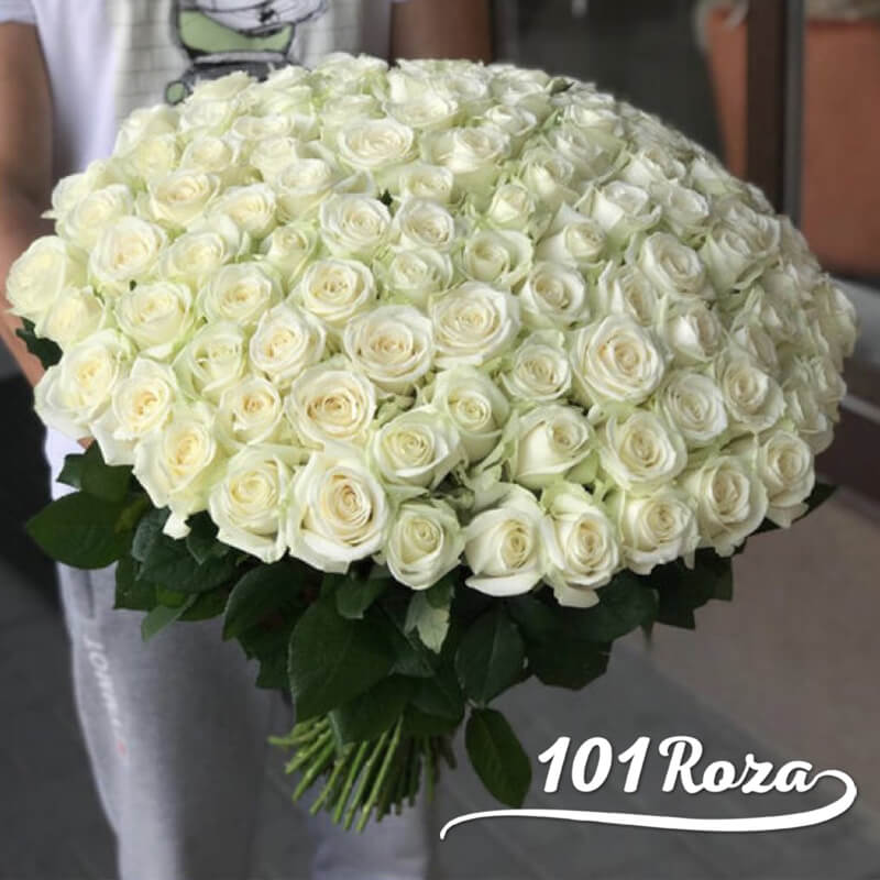 101 белая роза Аваланж