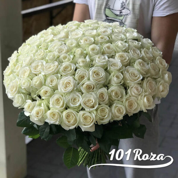 101 белая роза купить
