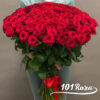 101 красная роза 80 см